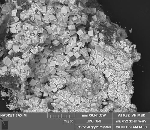 philsbornite的营 SEM照片, a rare arsenate mineral from the Centenario mine, Sierra Mojada矿区, 邻近的科阿韦拉, 墨西哥, 由Stanley Korzeb收集. Permission to use courtesy of 蒙大拿州矿业局 & 地质.